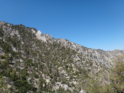 If you look closely, you can see the tram, and the edge of the lodge on the ridge.