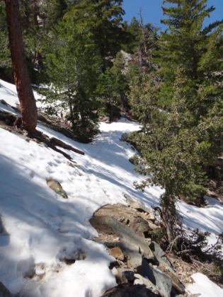 This was solid snow (and icy) the last couple times. Though there's much less snow this time, it's still a bit slippery with just trail running shoes.