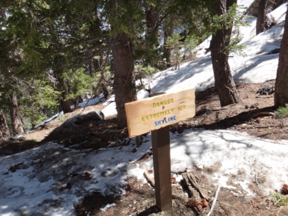 Made it to Long Valley at 8400'.  8000' gain in under 10 miles! I had been a bit sick for a week prior to this trek and my energy systems were definitely drained. It took me about 30-40 minutes longer to get here than last time (partially because I was taking more pictures). It's now about 12:40pm. This could easily make a nice stopping point for a tough day hike. But I still have 12 more miles round trip to go. In the snow!