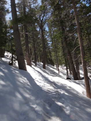 Easy snow hiking at this point. There's been enough foot and snowshoe traffic that there's pratcially a sidewalk in the snow here. Since time is tight today, I welcome the easy tracks to follow.