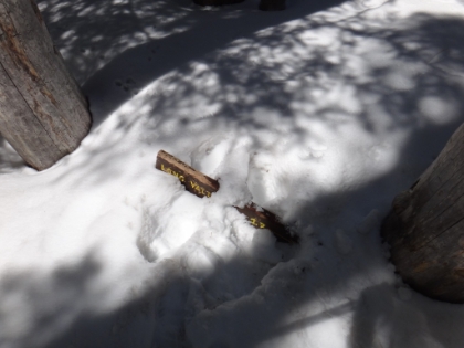 1.7 miles from Long Valley. This sign was completely covered last time.