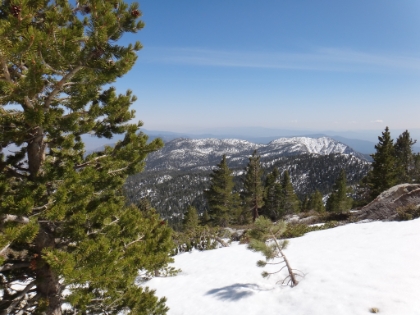 View from the trail junction at Wellman's Divide. This is actually not far above Wellman's Cienaga, one of my favorite spots in Southern CA.