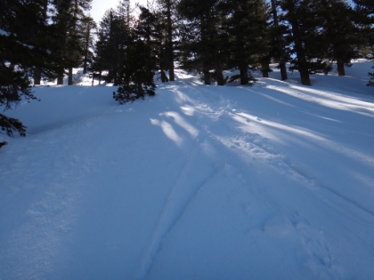 A classicly deceptive picture. This is extremely steep. The snowshoers had evidentally decided to head straight up the hill and cut some distance off the trail and avoid more traversing (definitely a good plan if you're in snowshoes). I decide to keep following them, which isn't quite as easy with only trail running shoes. This was an extremely tough climb. Probably 15 minutes up this hill and about 15 seconds down it on the way back!