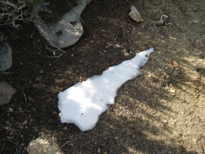 The first official snow patch. Somewhere around 7000'.