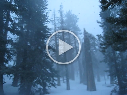 A short video of the snow conditions above Round Valley.