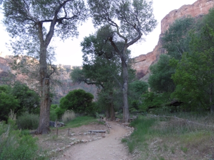 Walking through Indian Garden.