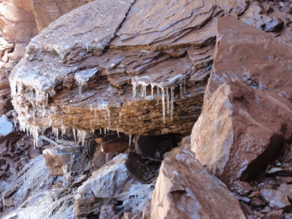 A small flow of water across the trail freezes into iceicles as soon as it hits the shade. The temperature is probably in the low 40s now, but I'm generating so much heat I don't feel a thing.