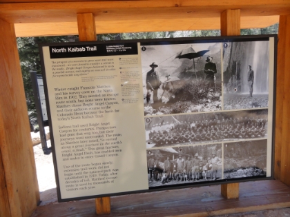 The North Kaibab trailhead at 8250' above sea level. I made it! 22 miles and over 6000' of elevation gain. Another tough but successful trail running day complete!! Oh wait, I'm only halfway done, I still have to go back :(  It's 12:41pm. I've been trying hard not to obsess about running time and pace, but I still had a goal in mind of 14 hours for the full R2R2R round-trip.  I made it to this point in 6:48. This half of the journey was a little shorter distance but with more elevation gain, so I feel like I'm still right on schedule.
