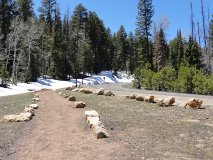 There's still a fair amount of snow on the North Rim in the shady areas. A few weeks ago it was probably pretty deep up here. Tourist services don't reopen for two more weeks (May 15th). The temperature is cool but comfortable, and I hang out for about 20 minutes eating, trying to strectch out the kinks, and preparing for the return trip.