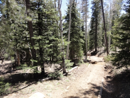 Heading back down the North Kaibab trail. I'll be retracing my steps all the way back down to the Colorado River. Even though the downhill is steep, rocky, and fast, I'm feeling much better than I was on the uphill, and I'm still confident at this point that I'll hit my 14 hour goal.