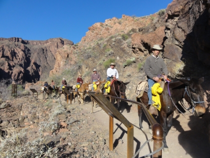 I was really worried about getting stuck behind mule trails, but I only saw a few all day, and none of them caused more than a brief delay. This was the only tourist mule train I encountered, the others were all pack mules.