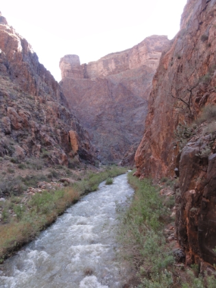 There are several foot bridges cutting back and forth across the creek. This picture is looking upstream from on top of one of those bridges.