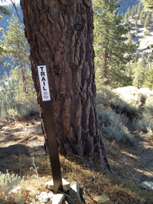Looks like they added a new trail sign at the start of the Backbone Trail entering the Big Sheep Wilderness. Not good! This trail was hard to find before, which is the way I like it.