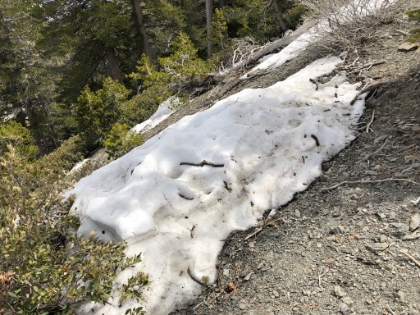 First patch of snow at about 7,500'.