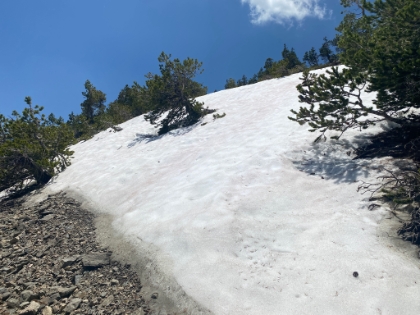 That's a fair amount of snow for late June. And not a single footprint. It looks like no one's been up here yet this summer, or at least not since the snow was much deeper.