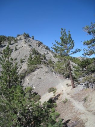 A look up the first part of the climb to Pine Mtn. One of the steepest stretches of trail in Southern CA.