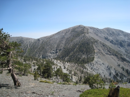 The trail drops down 800' from the top of Dawson Peak, down along the ridge, and then up 1200' to the top of Baldy.