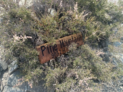 About halfway up Pine, I came across this sign sitting in a bush. I'm guessing someone in town made it but then couldn't haul it all the way up to the top. I made it my mission to get it there.