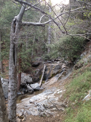 The creek flowing through West Fork Bear Canyon.