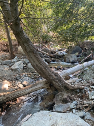 On the way back, I took the lesser used Stonehouse branch of the Middle Fork trail. It goes down to Lytle Creek, which is nice.