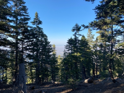 On the way back, I decided to hit the top of Wright Mtn, which I had also never done despite being pretty close to the PCT. There's not much of a view from the top, but it was cool to check it off the list nonetheless.