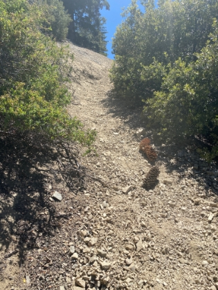 Heading up Register Ridge. 2,500' in 1.2 miles. Always one of the toughest sections of trail in SoCal.