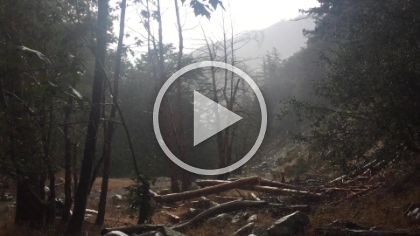 A short video trying to capture the rain. Despite losing two cameras today, it was a great day on the trail. And I made it back in time to get the kids with 2 minutes to spare!