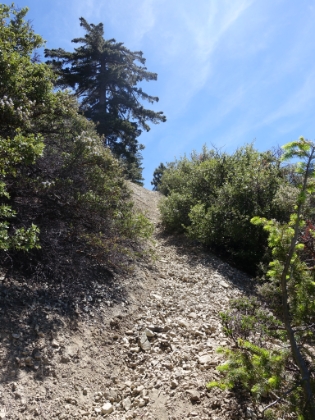 A fairly typical section of trail towards the bottom. Lots of scree surfing on the way down. This section is comparable to Iron Mountain. But because of the shorter overall distance and gain (11 miles, 4,100'), I would definitely rank it behind Iron and C2C.