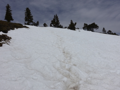 Almost to the summit and one last big snow patch.