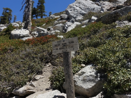 An odd trail sign in no particularly helpful place. In fact, it's the only trail sign on the entire trail, and this section is a steep spider web of loose, hard to follow, partial trails scrambling the last 800' or so to the summit. It's slow going and hard to follow.