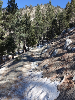 There had been a storm with a fair amount of snow the weekend before, but we didn't expect there to be much left. Yet we started hitting snow on the trail at just over 7,000'.