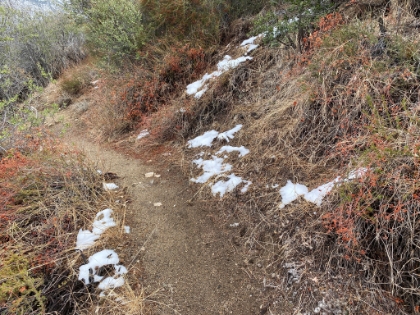 First signs of snow at only 3,700'.