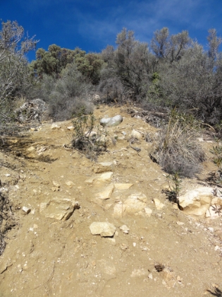 Another look at the trail. Here an almost 45 degree incline in the middle of a 2,000' mile. Possibly the steepest mile of trail in SoCal.