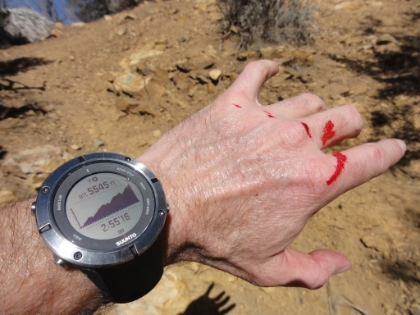 My Suunto Ambit 2 and bloody hands from Yucca stabbings. Perfect ingredients for a great day on the trail!