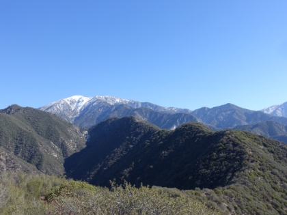 Made good time up to Heaton Saddle and now to the ridgeline that I love so much. That's Mt. Baldy in the distance, and directly in front is Allison Saddle. That saddle is the start of the toughest 2 miles of trail in Southern CA.