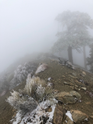 Low visibility and a really chill wind on the ridgeline.