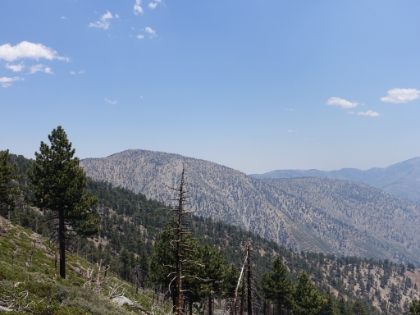 First view of Mount Baden-Powell.