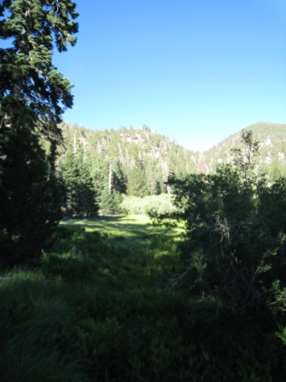 A look at Fish Creek Meadows at about 8100'.