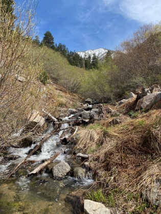 Forsee Creek with East San Bernardino Peak in the background. Another great little spot that gets a fraction of the traffic of the main trails.