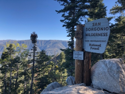 My original plan for the day was to try to summit Gorgonio from the Angelus Oaks trailhead. That would have made for 40 miles round trip and over 8,500' of gain in one day. It's been on my to-do list for a long time. I didn't quite make it this time around, but maybe next time!