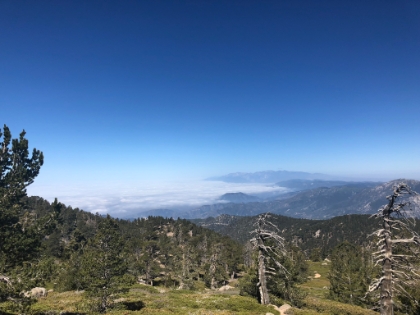 A cool look at the marine layer far below with Mt. Baldy in the distance.