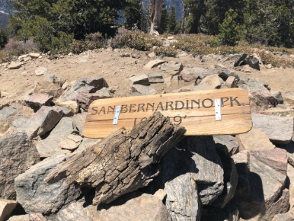 Made it to San Bernadino Peak at 10,649'. As far as I had ever been on this trail previously. Fortunately, the crowds today instantly dissapeared past this point.