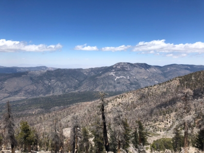 A look down the North side in the area of the South Fork trail. This whole area has been closed for the last few years because of the huge fire. It's just now starting to re-open.