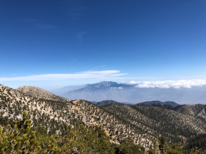 This part of the trail has my favorite view of San Jacinto. Today I particularly like how the sea of clouds stops right up against the peak.