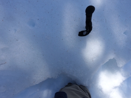 My hopes of sumitting are going downhill fast. I'm breaking trail now through snow drifts 2-3 feet deep. Here I'm post-holed almost up to my crotch with my trekking pole buried down to the handle. I almost lost my shoe at the bottom of a post-hole like this multiple times.