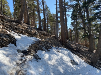 Heading up the switchbacks above High Creek camp. There's only a few patches of snow in the shady spots.