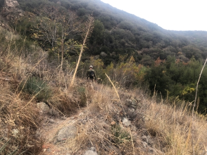Crossing one of the few open areas as we approach the saddle.