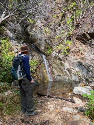 Glad to see at least a little water flowing in the falls in such a dry year!