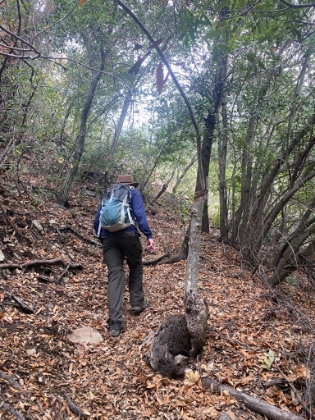 One of the lush sections as we get into higher elevation.