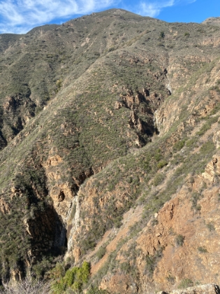 A look at the adjacent cascades from the vista point. The return trip up the slope wasn't easy. Steep and very easy to get lost. Fortunately I had remembered a couple of distinct plants to use as waypoints.